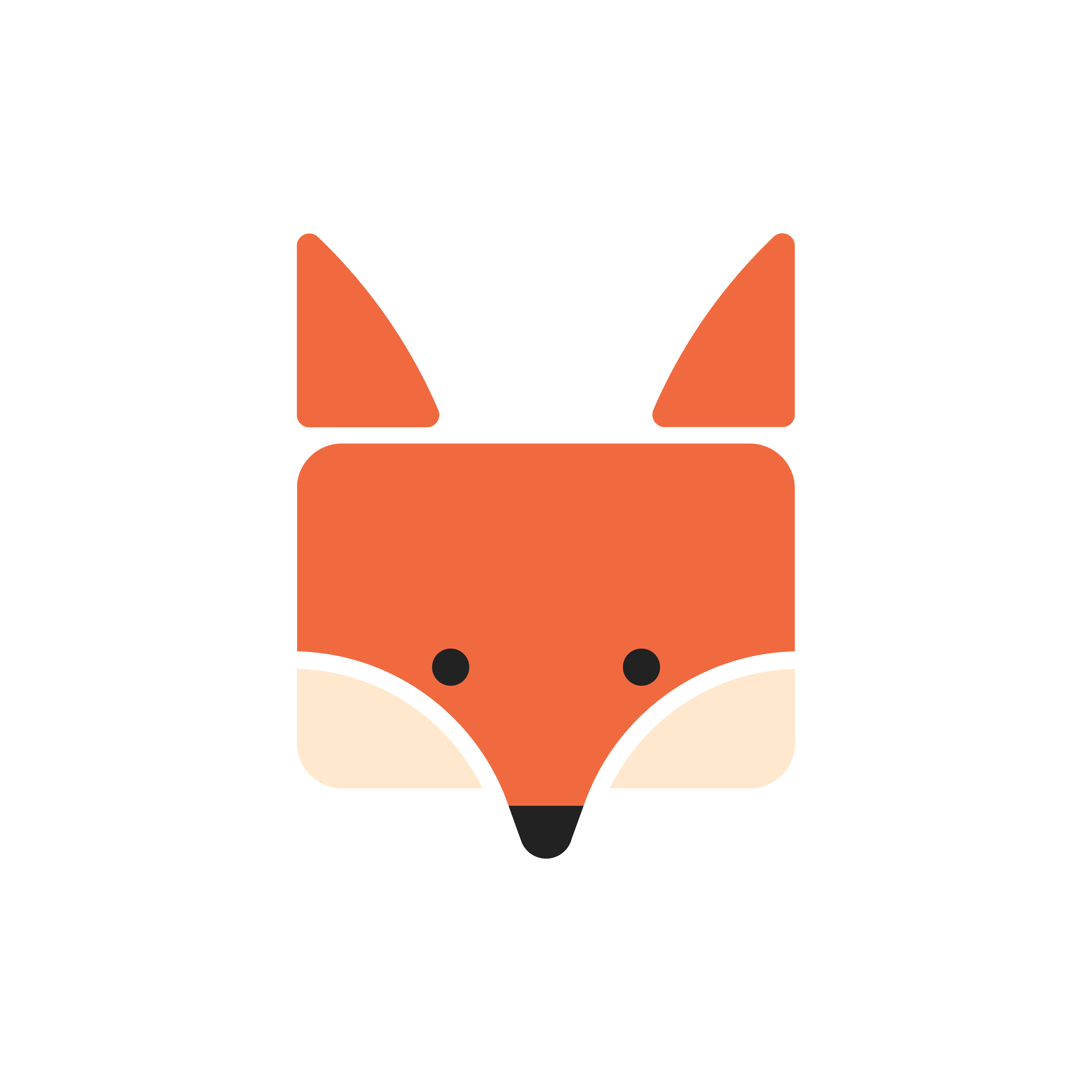 Face Wash Fox